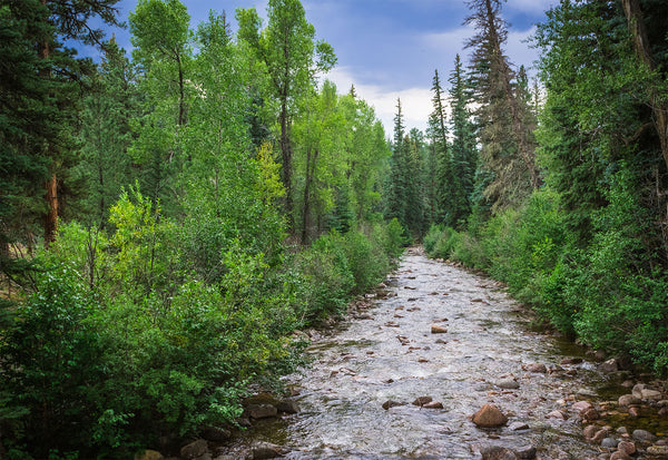 Colorado River in Summer Nature Photo Print - Photography