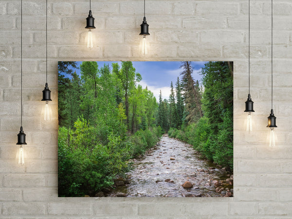 Colorado River in Summer Nature Photo Print - Photography