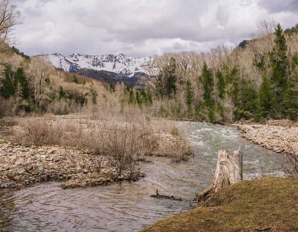 Springtime Mountain River View Photo Print | Canvas -