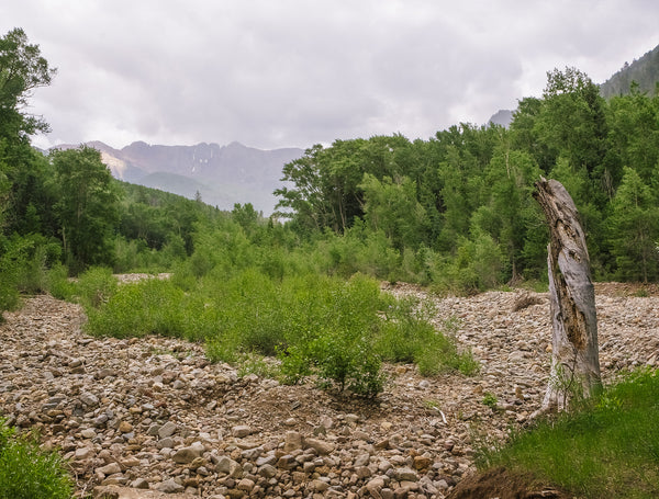 Summertime Mountain River View Photo Print | Canvas -