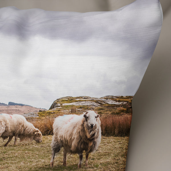 Sheep in Wales Decorative Throw Pillow Cover - Pillows
