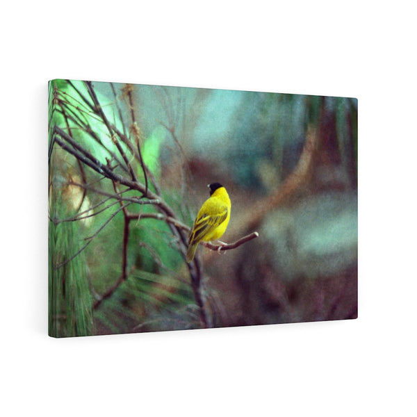 Yellow Bird Canvas Gallery Wraps Colorful Film Photography -