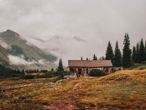 Foggy Mountains Cabin Photo Print Colorado Wildflowers