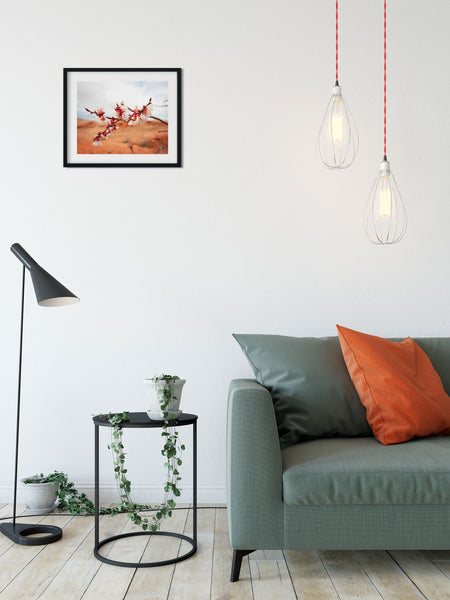 Cherry Blossom Photo Print Lake Powell Nature Photography