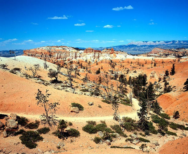 Bryce Canyon Utah Nature Photography