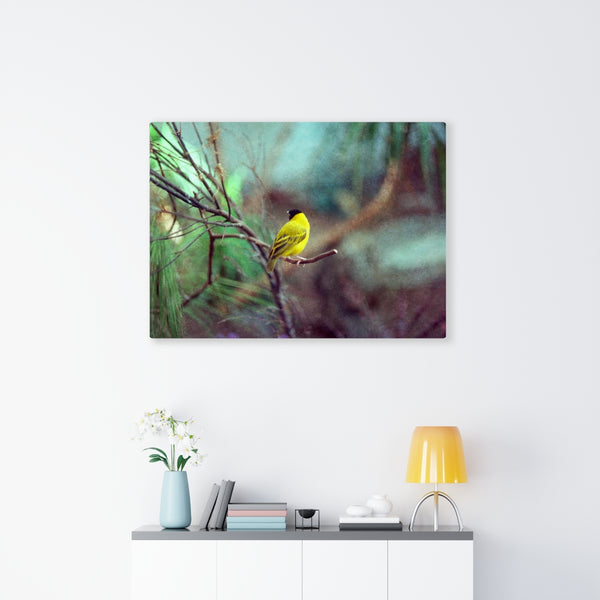Yellow Bird Canvas Gallery Wraps Colorful Film Photography