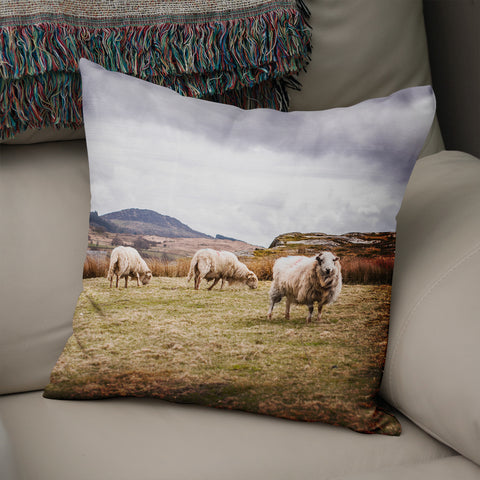 Sheep in Wales Decorative Throw Pillow Cover - Pillows