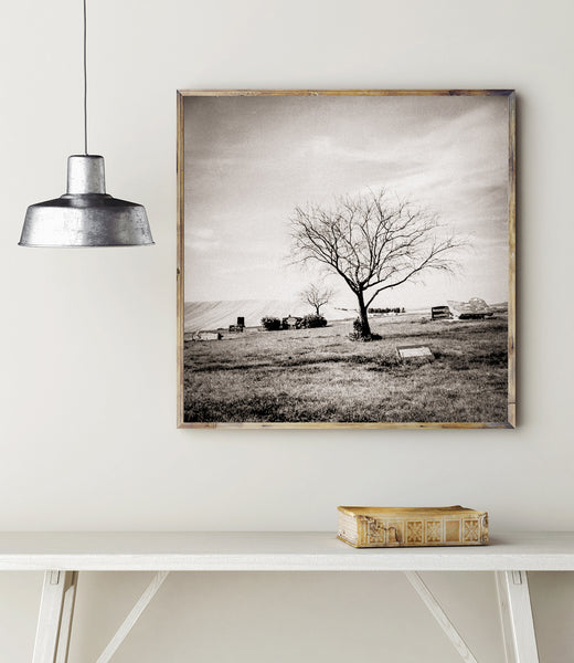 Cemetery and Tree Grainy Square Film Photography Print Holga
