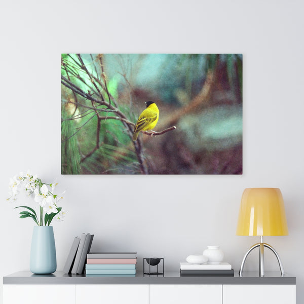 Yellow Bird Canvas Gallery Wraps Colorful Film Photography