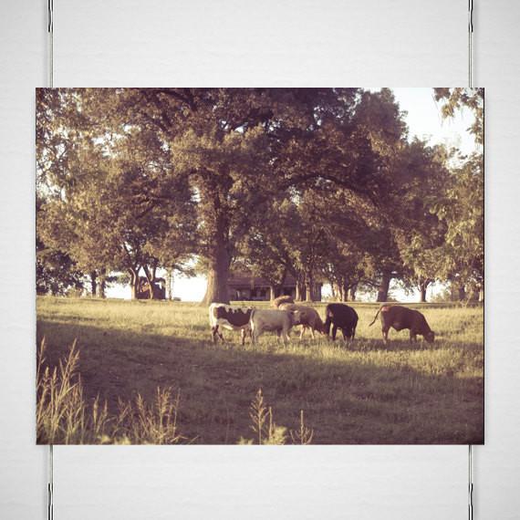 Dreamy Kentucky Farm Rustic Wall Art Print - Photography