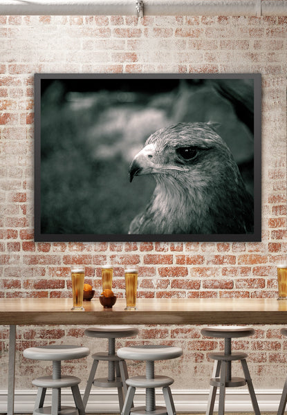 Crowned Solitary Eagle Photo Print Black and White Film -