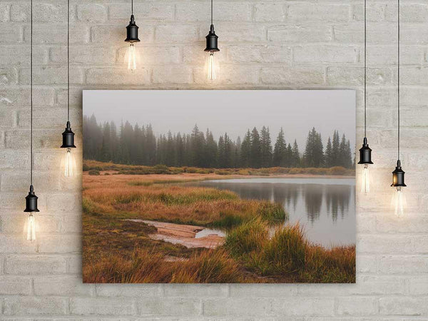 Foggy Lake Colorado - Photography