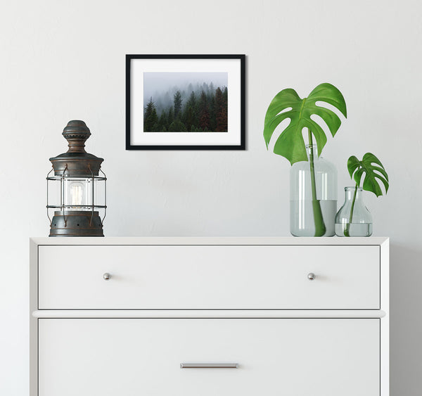 Foggy Forest North Idaho Wall Art Print - Photography