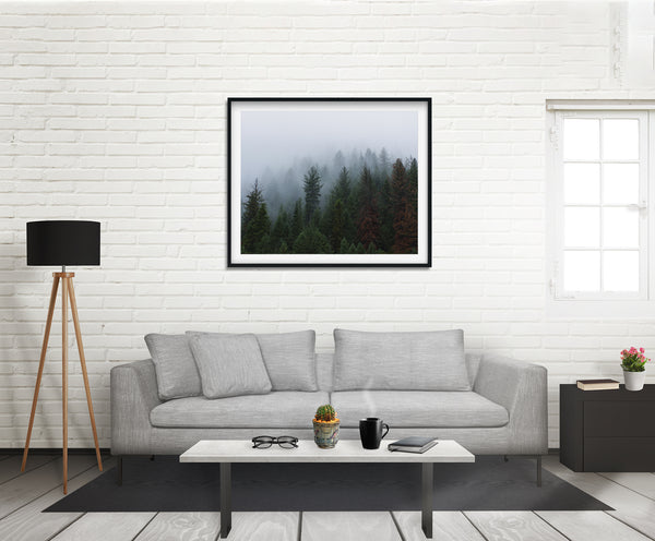 Foggy Forest North Idaho Wall Art Print - Photography