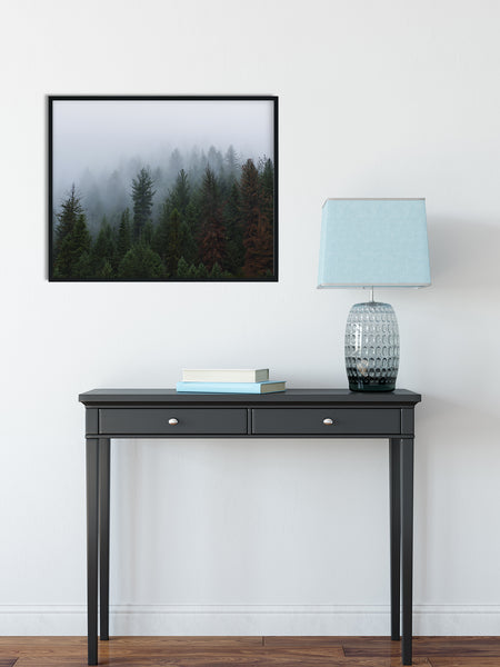 Foggy Forest North Idaho Wall Art Print - Photography