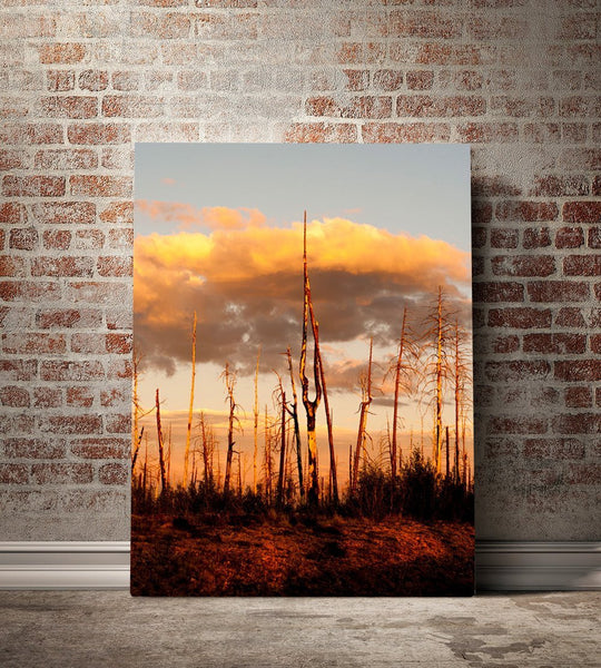 Forest Fire Sunset Nature Wall Art Print - Photography