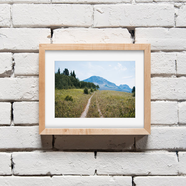 Montana Meadow Trail Photo Print Glacier NP Wildflowers