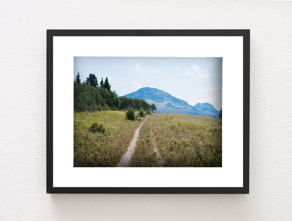 Montana Meadow Trail Photo Print Glacier NP Wildflowers