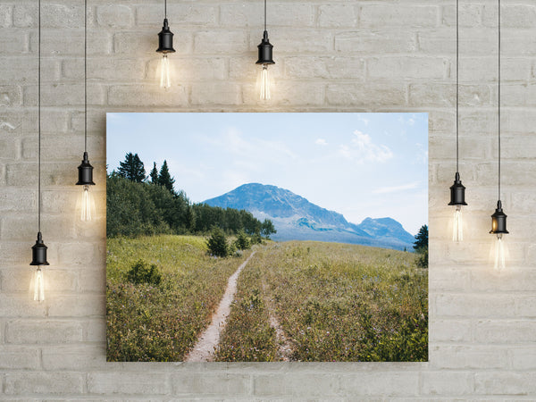 Montana Meadow Trail Photo Print Glacier NP Wildflowers