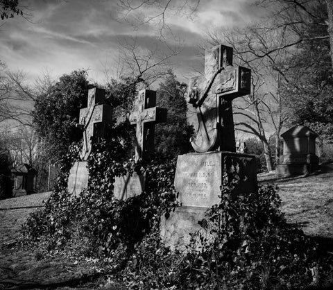 Headstones and Vines Asheville - Photography