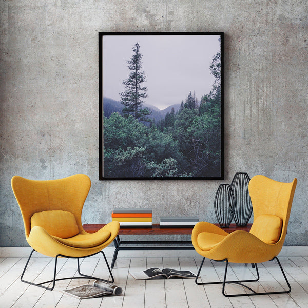 Minimalist California Forest Photography Sierra Nevada