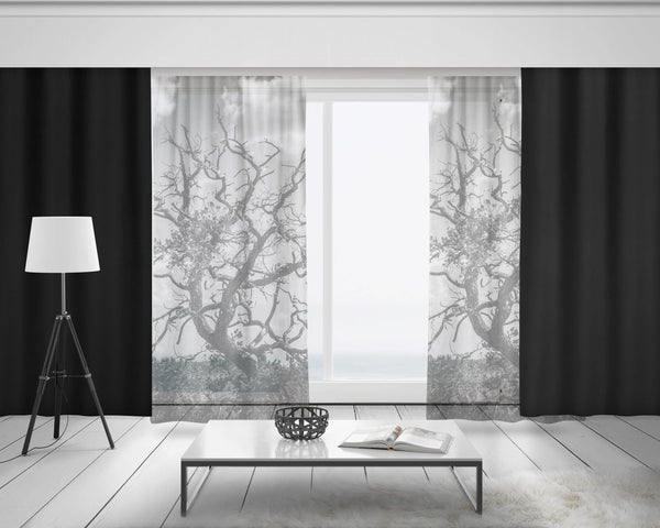 Black and White Tree Branches Window Curtains 50x84 Sheer