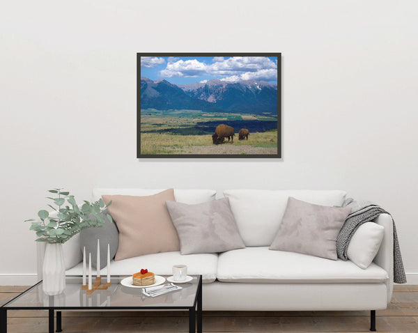 Mountains and Bison Photo Print Montana Landscape -