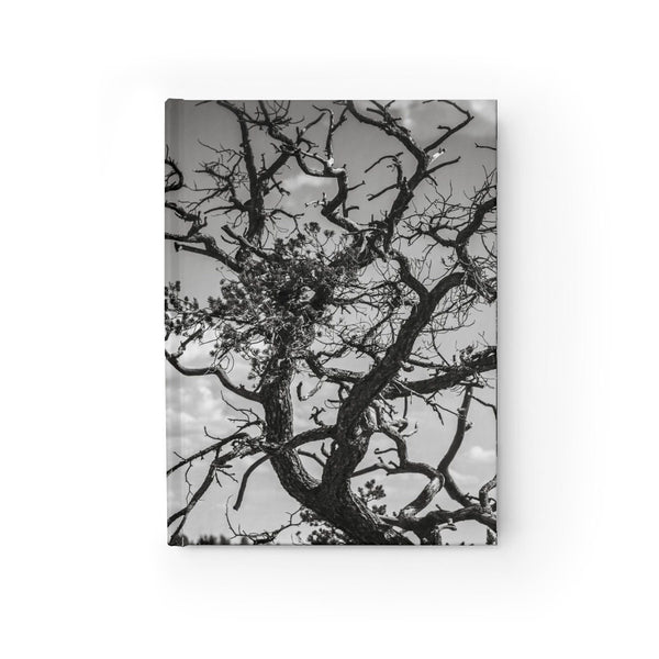 Desert Tree Branches Notebook - Spiral or Hard Cover Ruled