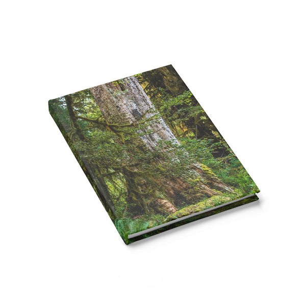 Olympic National Forest Notebook - Spiral or Hard Cover