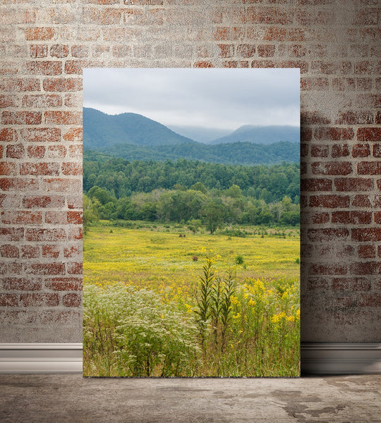 Flowering Meadow Photo Print Smoky Mountains National Park -