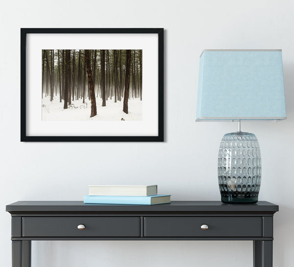 Foggy Pine Trees Minimalist Wall Art Washington Nature