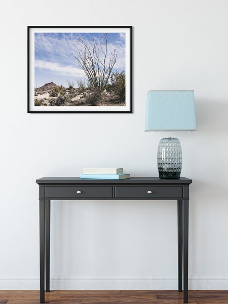 Ocotillo Mojave Desert Photo Print Cactus Fine Art -