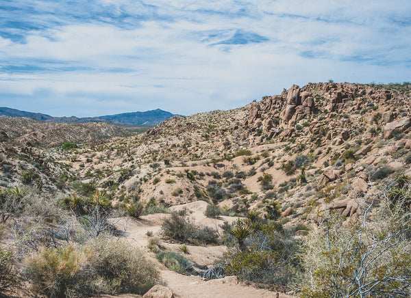 California Mojave Desert Photography Southern