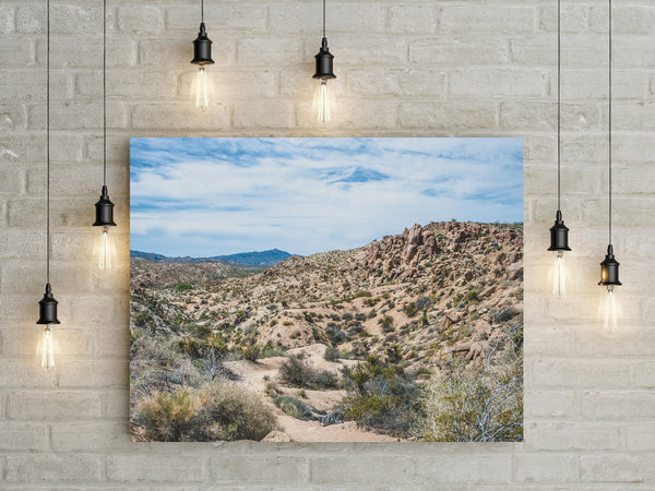 California Mojave Desert Photography Southern