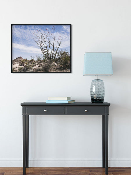 Ocotillo Mojave Desert Photo Print Cactus Fine Art -