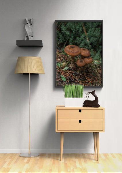 Mushroom Photo Print Cute Woodland Photography