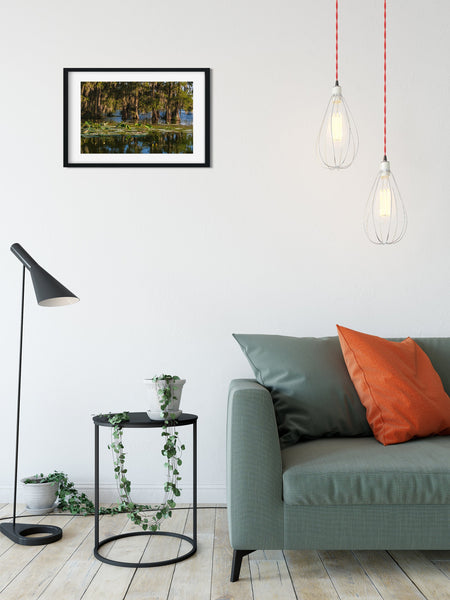 Cypress Bayou Photo Print Louisiana Nature Photography