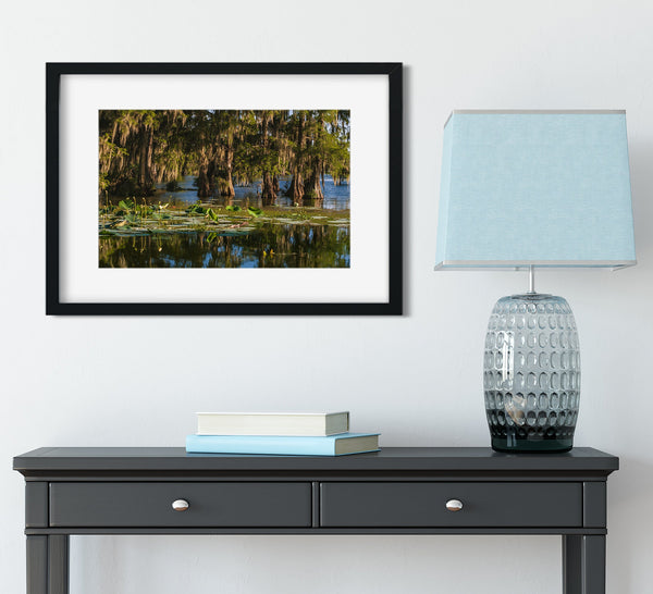 Cypress Bayou Photo Print Louisiana Nature Photography
