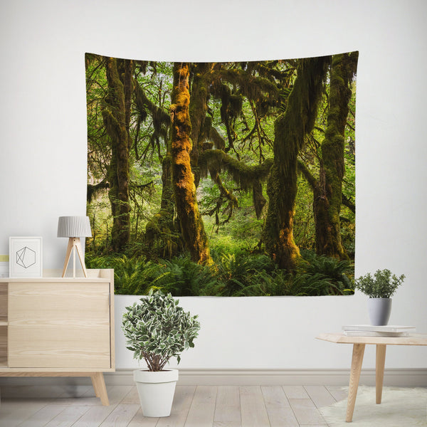 Hanging Moss Forest Tapestry Pacific Northwest Olympic