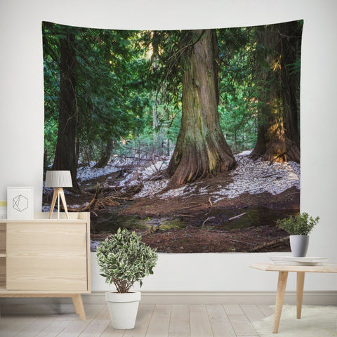 Giant Cedar Pacific Northwest Forest Tapestry - Decorative
