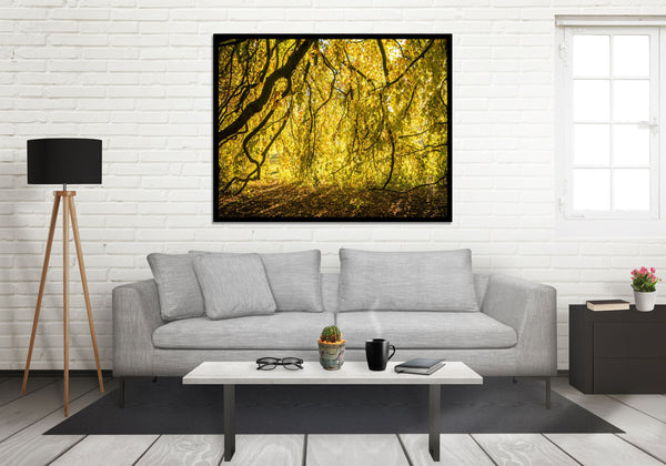 Yellow Leaves Photo Print Autumn Nature Photography