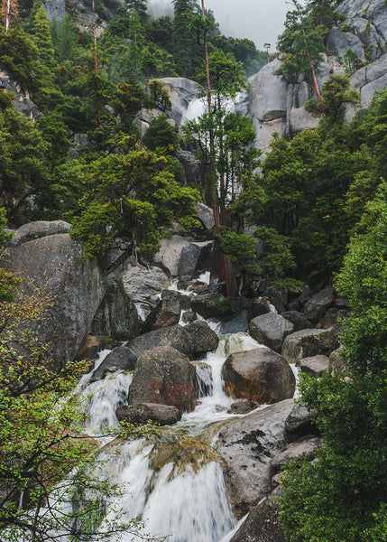 Yosemite Waterfall Rainy Day Photography Scenic Foggy Forest