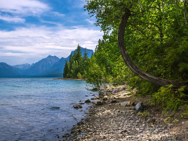 Mountain Lake Photo Print Montana Glacier National Park -