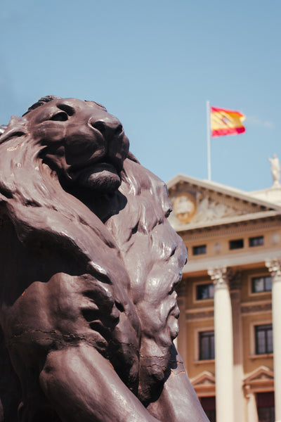 Lion of Barcelona Photo Print - Photography