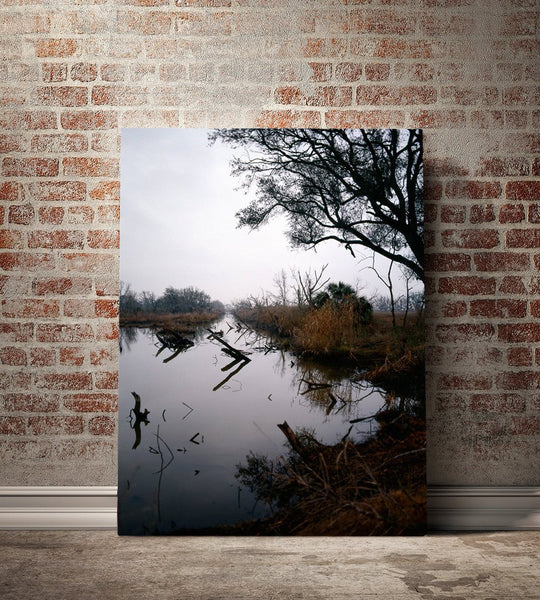 Louisiana Swamp Reflections Fine Art - Photography