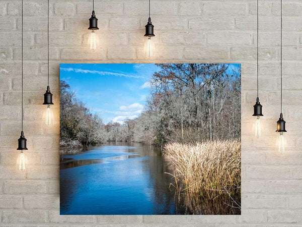 Ogeechee River Georgia Wall Art Print - Photography