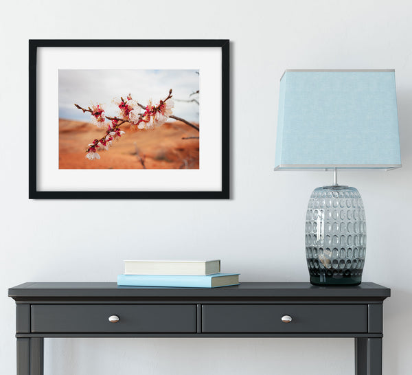 Cherry Blossom Photo Print Lake Powell Nature Photography