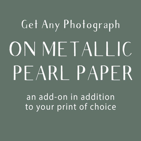Photograph Add-On, Metallic/Pearl Paper Lost Kat Photography