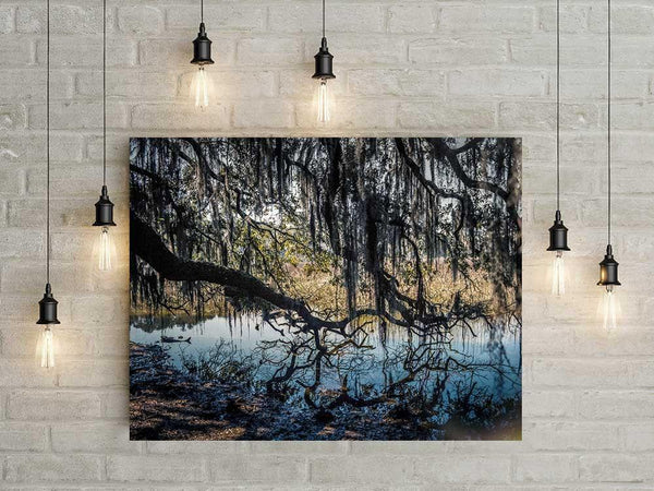 The Hanging Garden Nature Photography Art Print