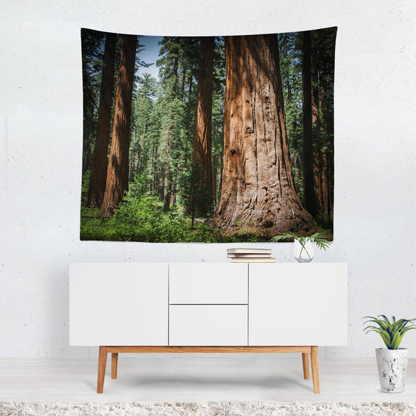 Redwood Forest Wall Tapestry Lost In Nature